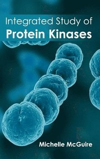 bokomslag Integrated Study of Protein Kinases