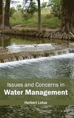 Issues and Concerns in Water Management