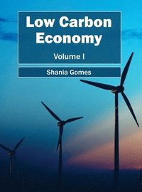 bokomslag Low Carbon Economy: Volume I