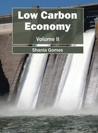 bokomslag Low Carbon Economy: Volume II