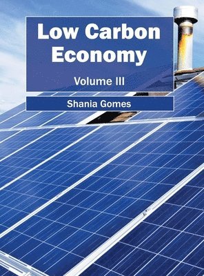 bokomslag Low Carbon Economy: Volume III