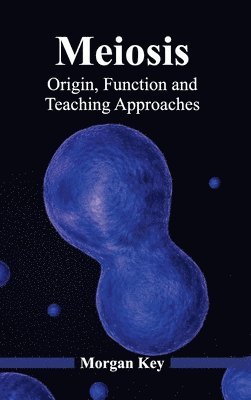 Meiosis: Origin, Function and Teaching Approaches 1