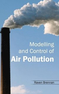 bokomslag Modelling and Control of Air Pollution