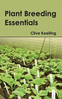 bokomslag Plant Breeding Essentials