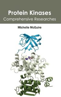 bokomslag Protein Kinases: Comprehensive Researches