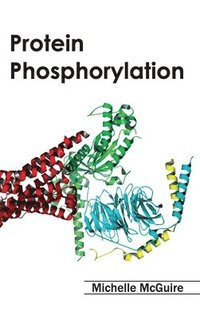 bokomslag Protein Phosphorylation