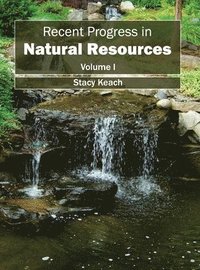 bokomslag Recent Progress in Natural Resources: Volume I