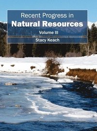 bokomslag Recent Progress in Natural Resources: Volume III