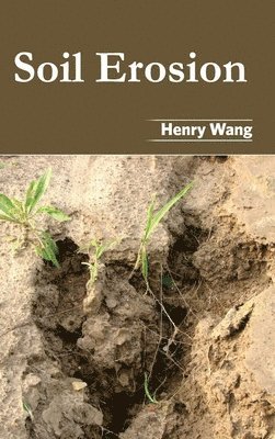 Henry Wang - Soil Erosion, Inbunden