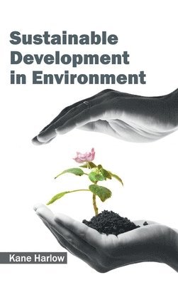bokomslag Sustainable Development in Environment