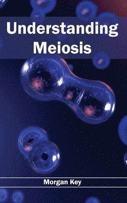 bokomslag Understanding Meiosis