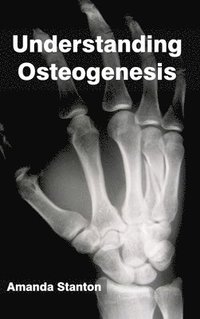 bokomslag Understanding Osteogenesis