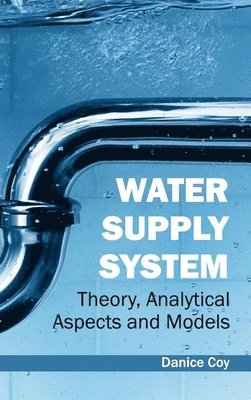 Water Supply System: Theory, Analytical Aspects and Models 1