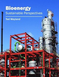 bokomslag Bioenergy: Sustainable Perspectives