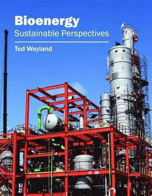 Bioenergy: Sustainable Perspectives 1