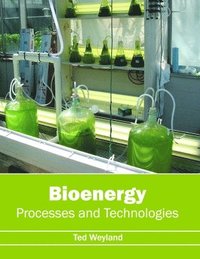 bokomslag Bioenergy: Processes and Technologies