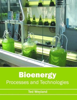 Bioenergy: Processes and Technologies 1