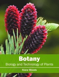 bokomslag Botany: Biology and Technology of Plants