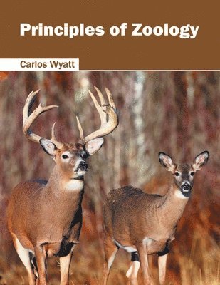 bokomslag Principles of Zoology