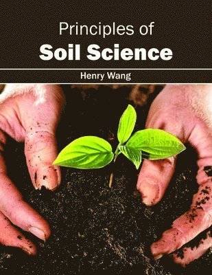 Henry Wang - Principles of Soil Science, Inbunden