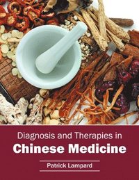 bokomslag Diagnosis and Therapies in Chinese Medicine