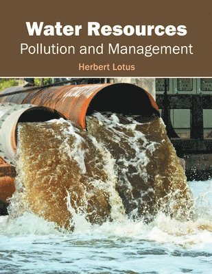 Water Resources: Pollution and Management 1