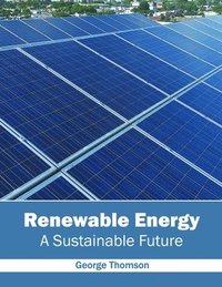 bokomslag Renewable Energy: A Sustainable Future