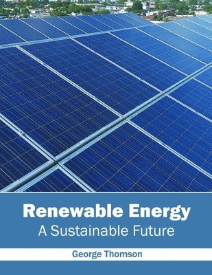 Renewable Energy: A Sustainable Future 1