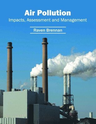 bokomslag Air Pollution: Impacts, Assessment and Management