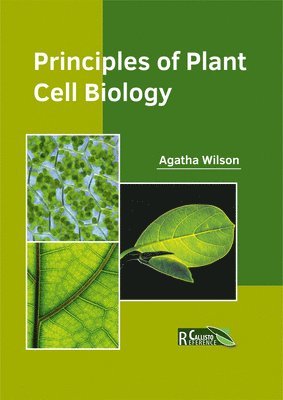 Principles of Plant Cell Biology 1