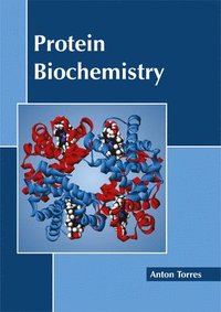 bokomslag Protein Biochemistry