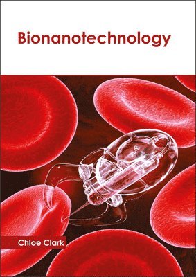 Bionanotechnology 1