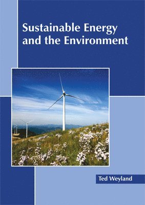 Sustainable Energy and the Environment 1