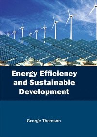 bokomslag Energy Efficiency and Sustainable Development
