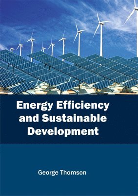 Energy Efficiency and Sustainable Development 1