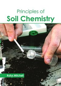 bokomslag Principles of Soil Chemistry