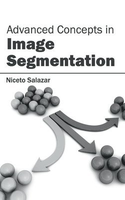 Niceto Salazar - Advanced Concepts in Image Segmentation, Inbunden