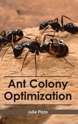Ant Colony Optimization 1