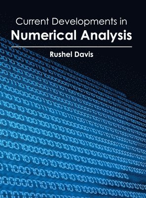 bokomslag Current Developments in Numerical Analysis