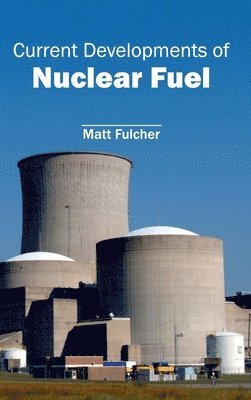 Current Developments of Nuclear Fuel 1