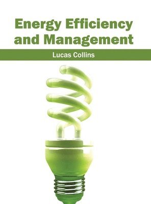 Energy Efficiency and Management 1