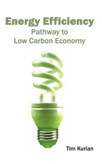 bokomslag Energy Efficiency: Pathway to Low Carbon Economy