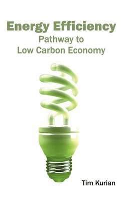 Energy Efficiency: Pathway to Low Carbon Economy 1