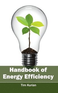 bokomslag Handbook of Energy Efficiency