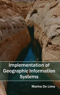 bokomslag Implementation of Geographic Information Systems