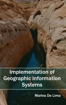 bokomslag Implementation of Geographic Information Systems