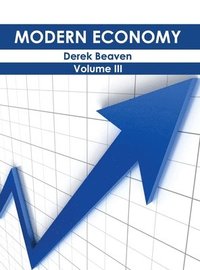 bokomslag Modern Economy: Volume III