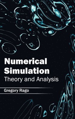 bokomslag Numerical Simulation: Theory and Analysis