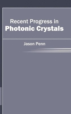 bokomslag Recent Progress in Photonic Crystals