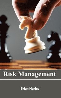 bokomslag Risk Management